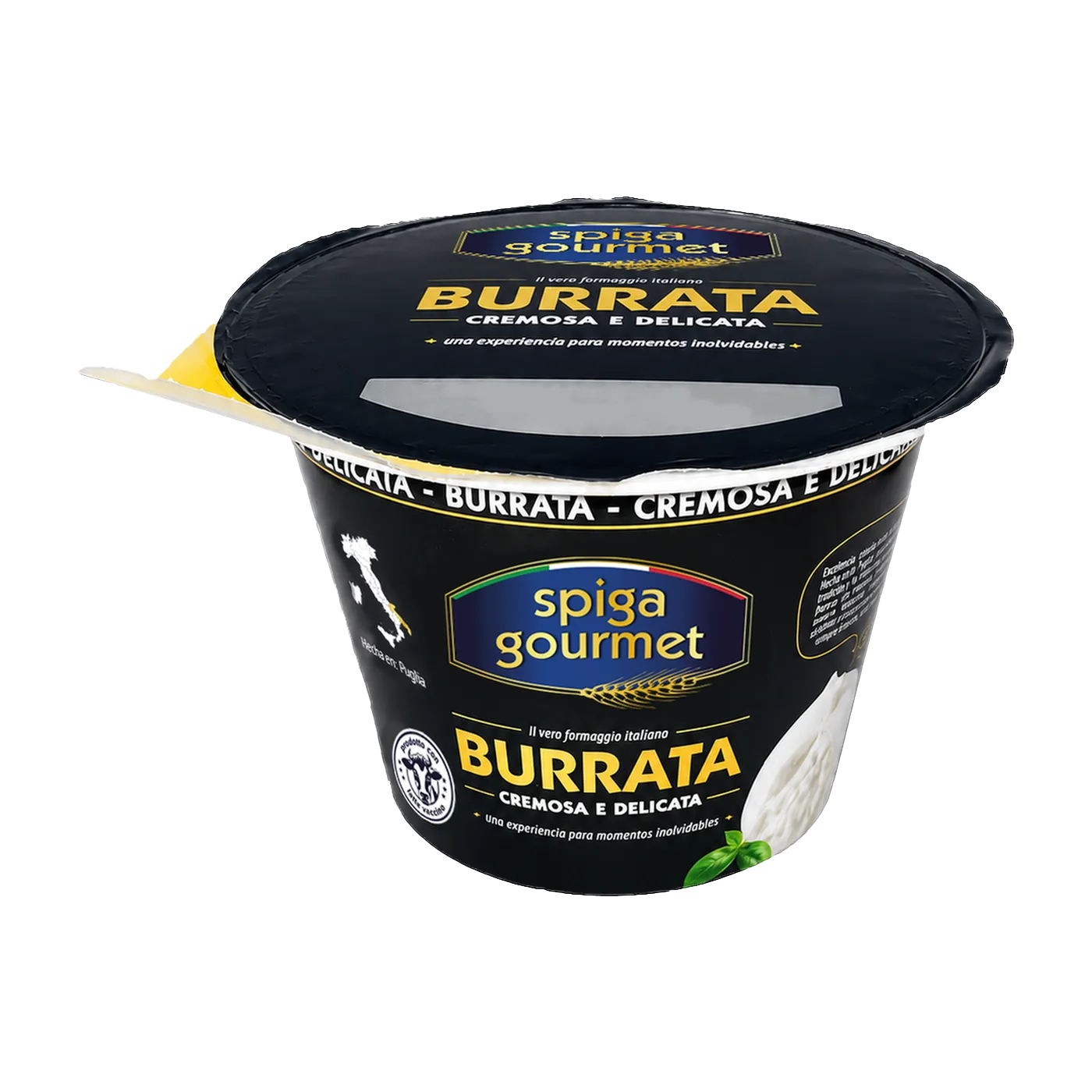 Burrata Gourmet